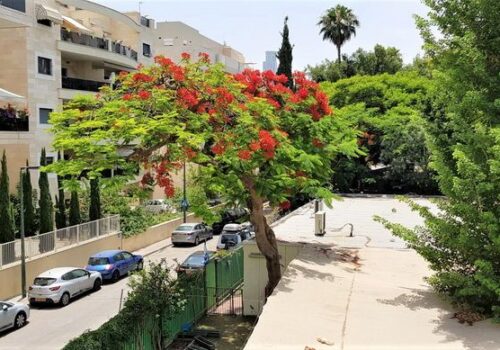 דירות למכירה בתל אביב